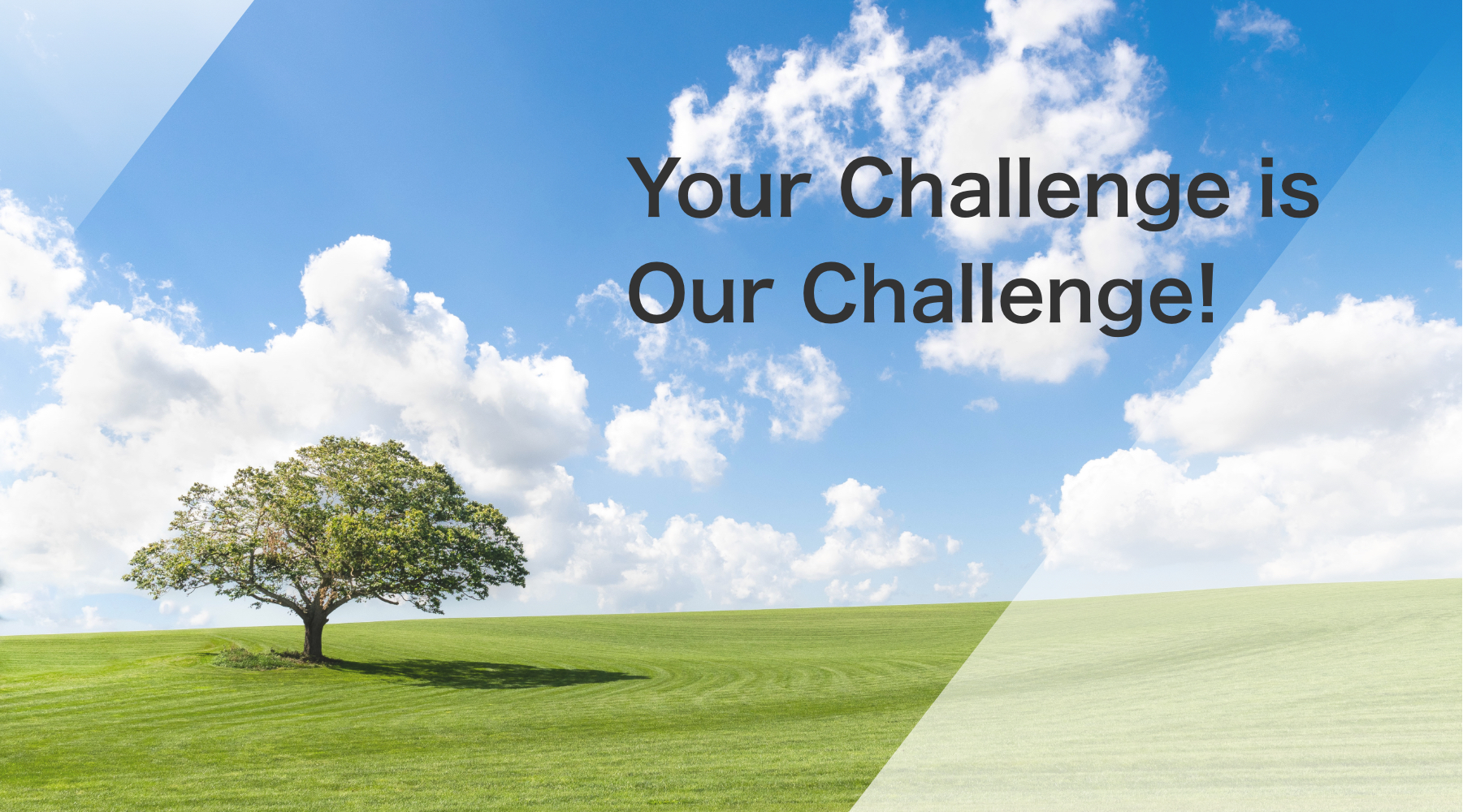 Your Challenge is Our Challenge!